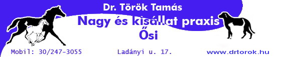 Ir�ny a Nagy �s Kis�llatpraxis �siben!